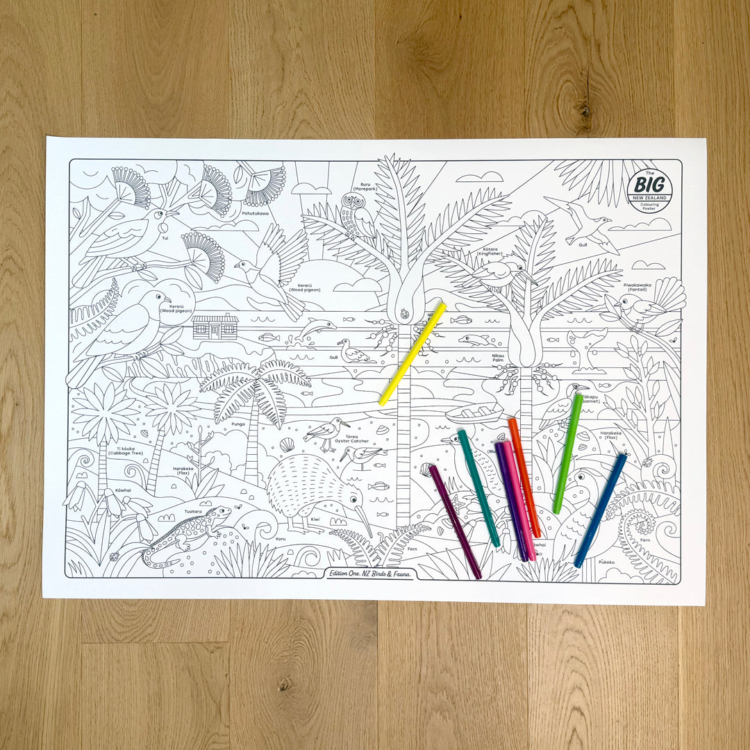 NZ Birds Illustrated Colouring Poster + Booklet